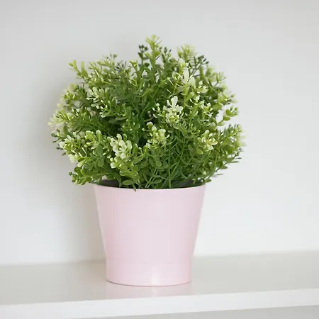Apartment Mawa Dziwnówek