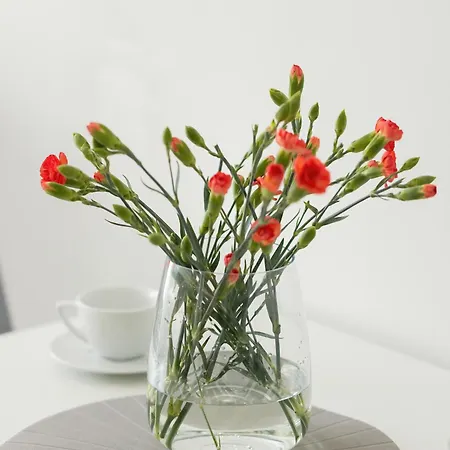 Апартаменты Mawa