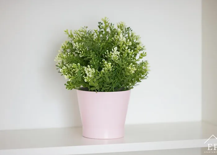 Apartmán Mawa Dziwnówek